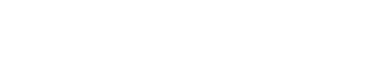 IBM watsonx